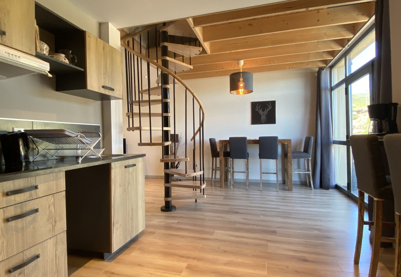 Apartment in Albepierre-Bredons - Duplex confort Le Pré Marty