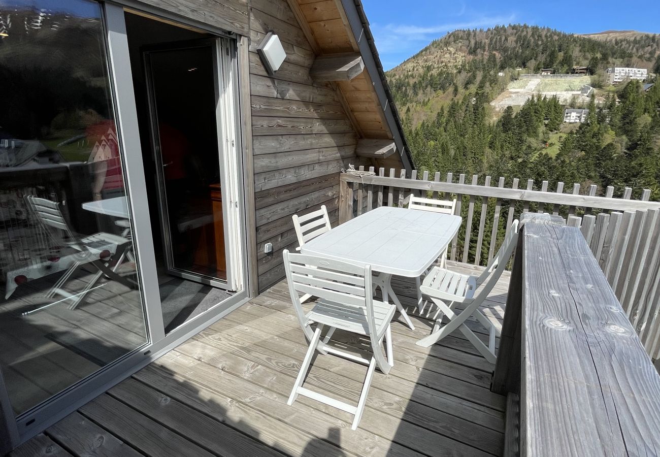 Chalet in Le Lioran - Chalet T3 HERMINES RDC