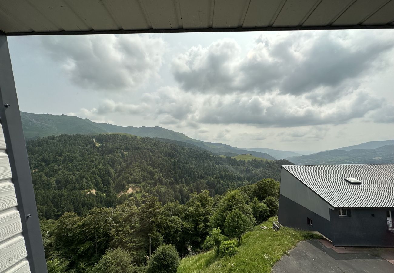 Apartment in Le Lioran - Appartement avec cheminée à altitude 1500