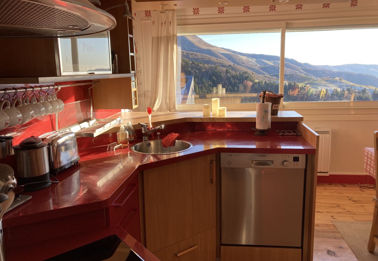 Apartment in Saint-Jacques-des-Blats - Appartement avec cheminée à altitude 1500