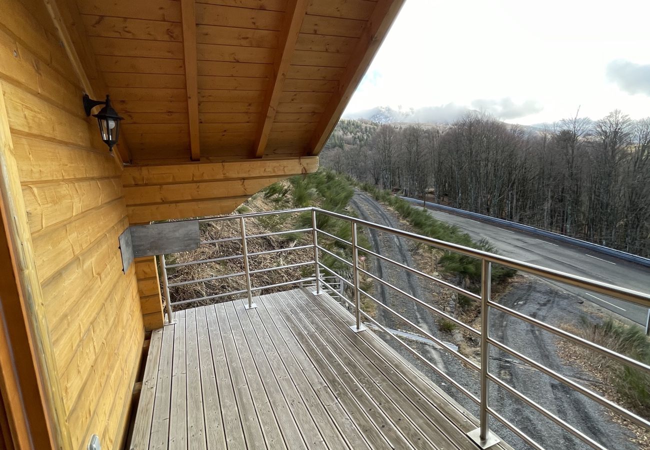 Semi-detached house in Saint-Jacques-des-Blats - Chalet de droite Font de Cère