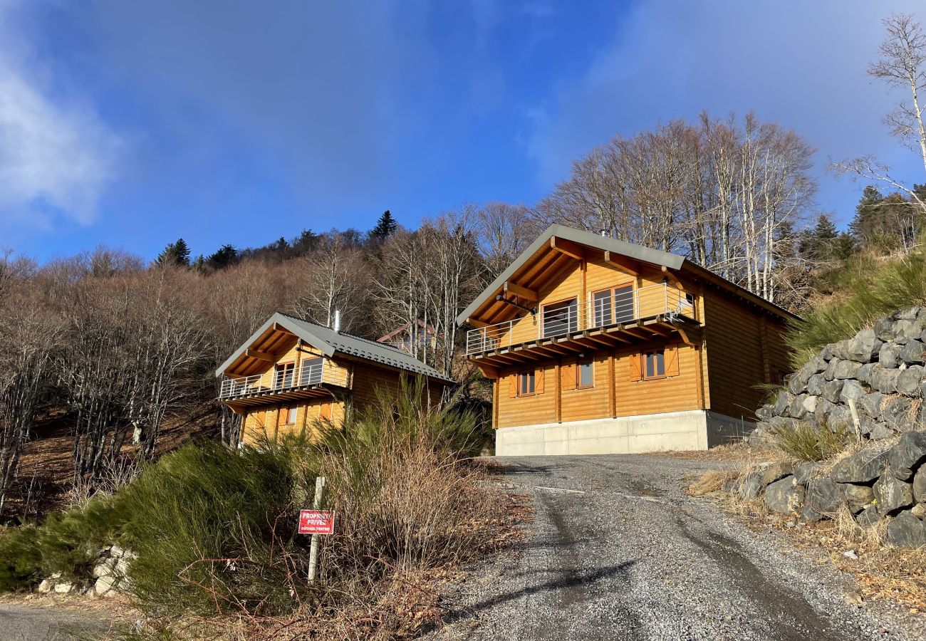 Semi-detached house in Saint-Jacques-des-Blats - Chalet de droite Font de Cère