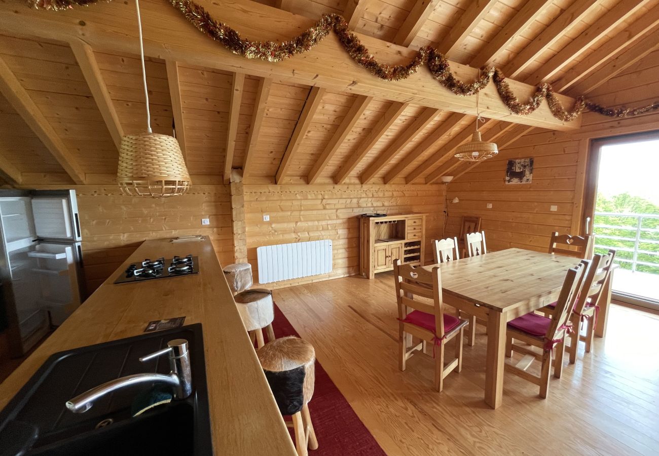 Semi-detached house in Saint-Jacques-des-Blats - Chalet de droite Font de Cère