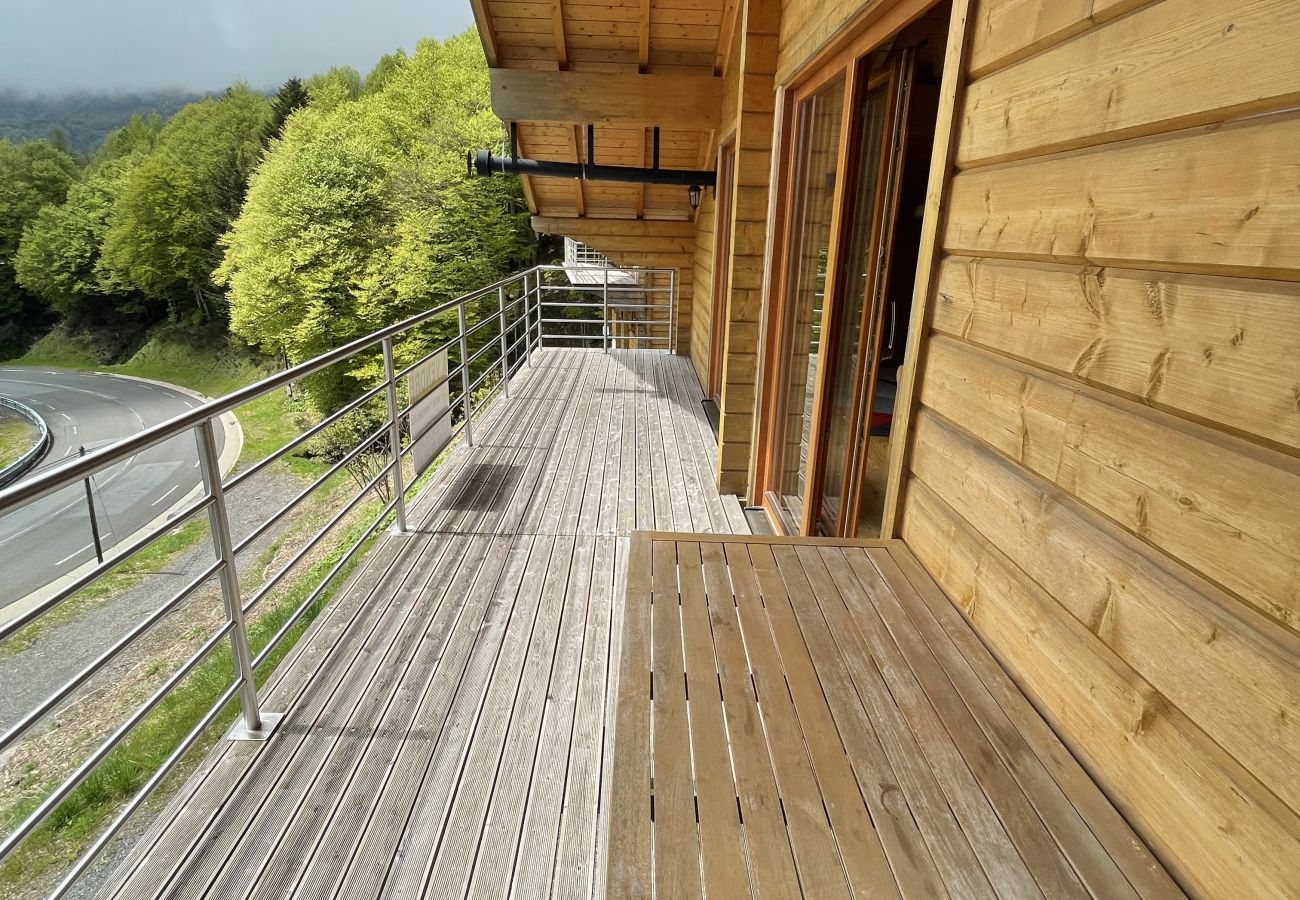 Semi-detached house in Saint-Jacques-des-Blats - Chalet de droite Font de Cère