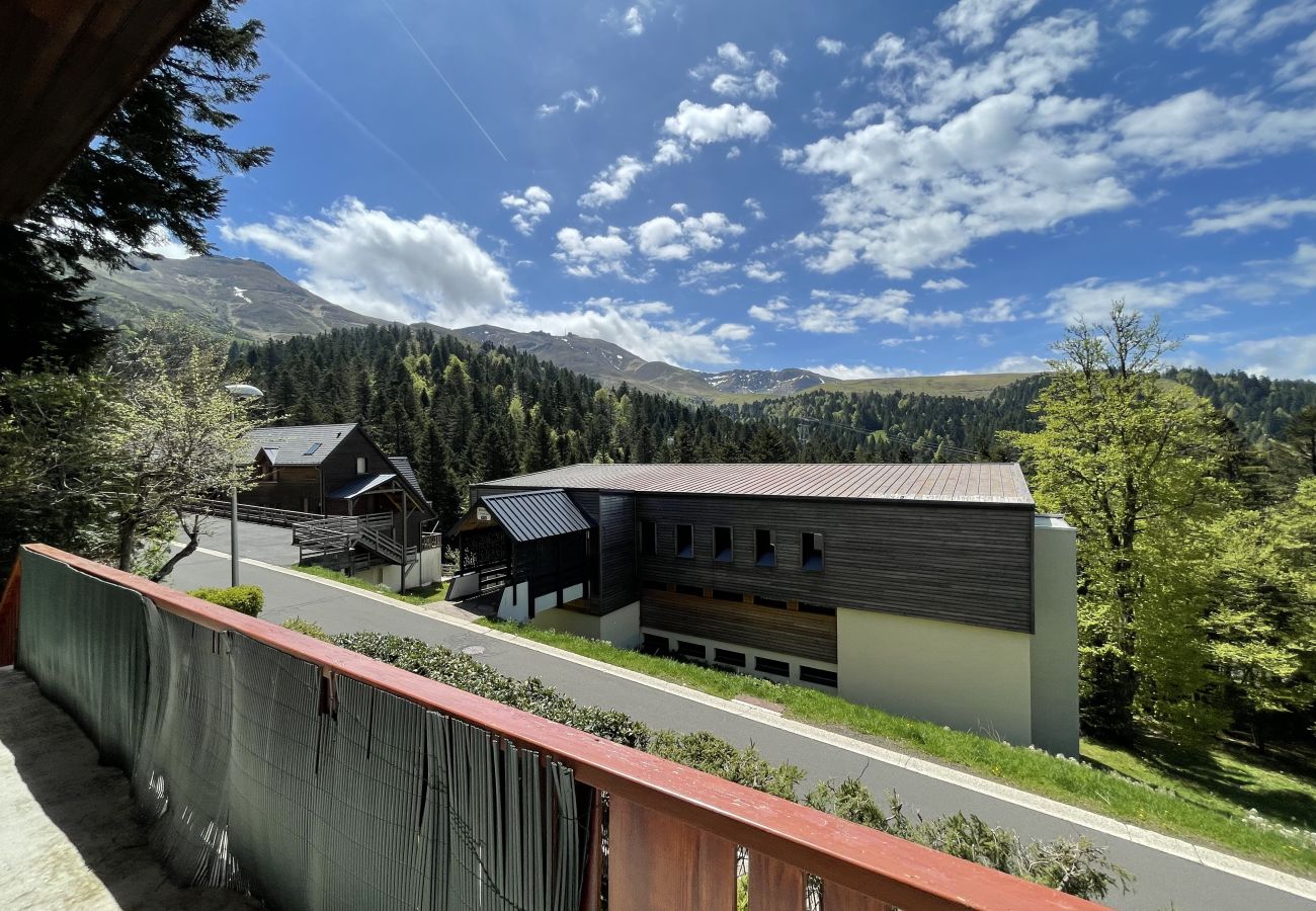 Semi-detached house in Le Lioran - Grand chalet qui surplombe le rocher du cerf