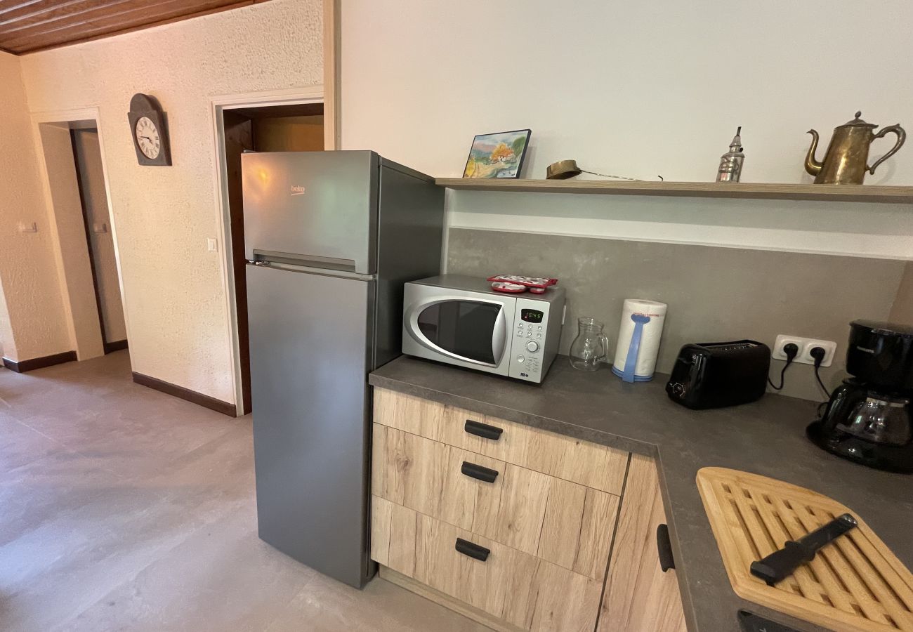 Apartamento en Le Lioran - Chalet Vassivière  Font d'Alagnon