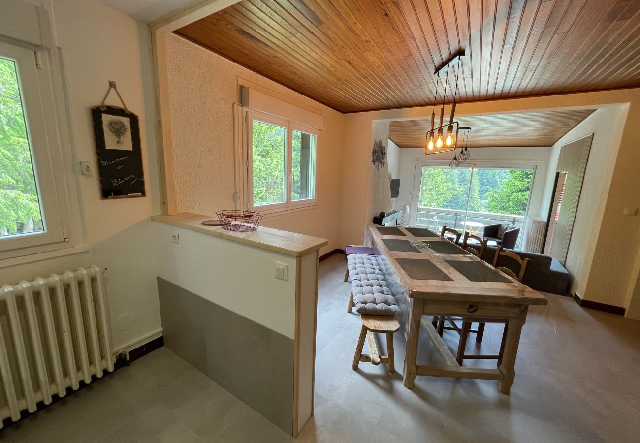 Apartamento en Le Lioran - Chalet Vassivière  Font d'Alagnon