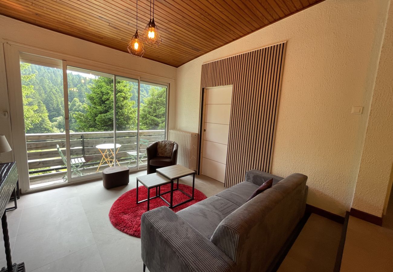 Apartamento en Le Lioran - Chalet Vassivière  Font d'Alagnon