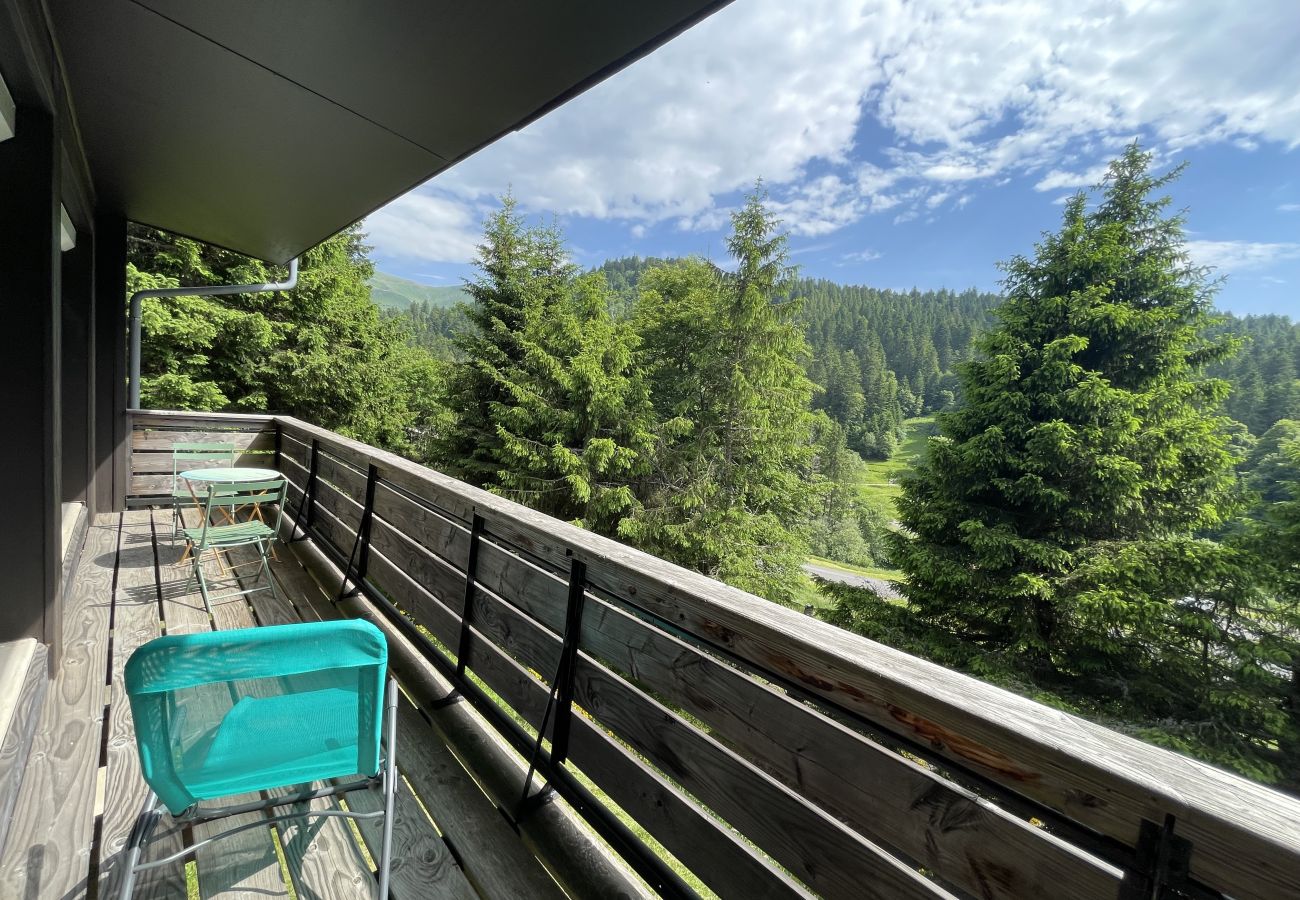 Apartamento en Le Lioran - Chalet Vassivière  Font d'Alagnon