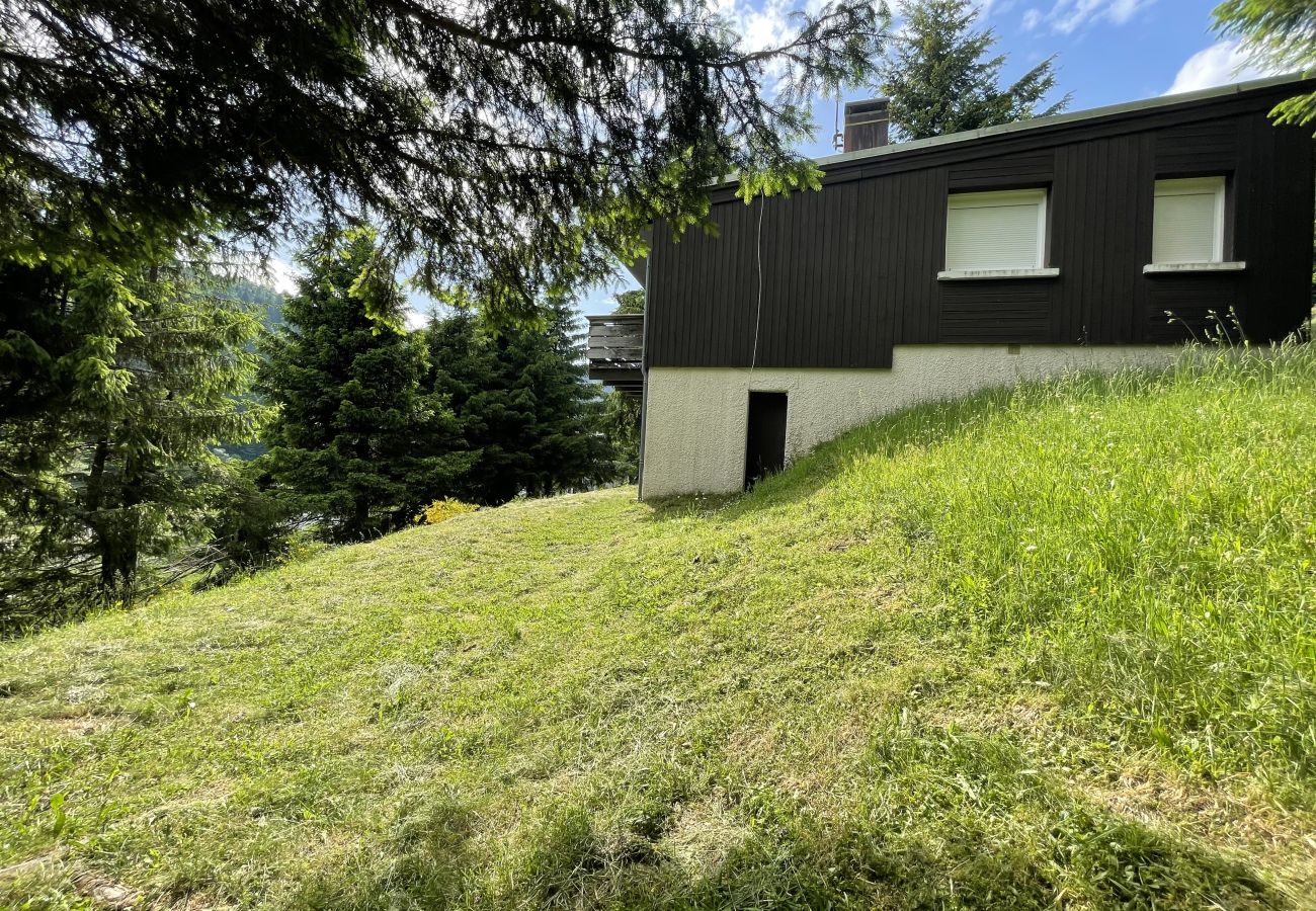 Apartamento en Le Lioran - Chalet Vassivière  Font d'Alagnon