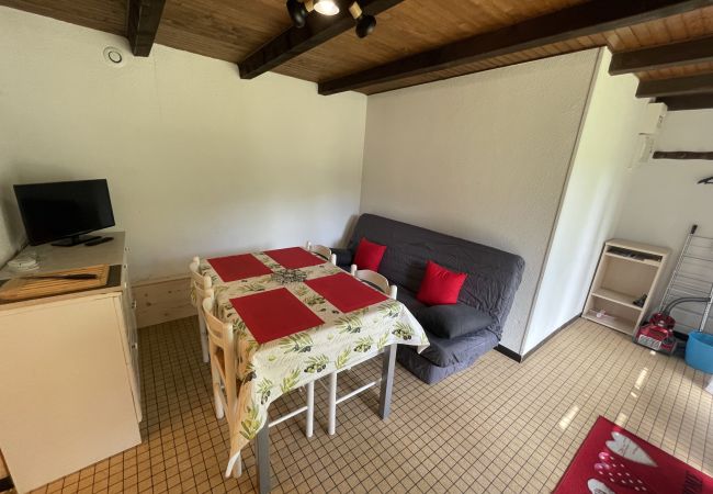 Apartamento en Le Lioran - T2  Vassivière à Font D'Alagnon