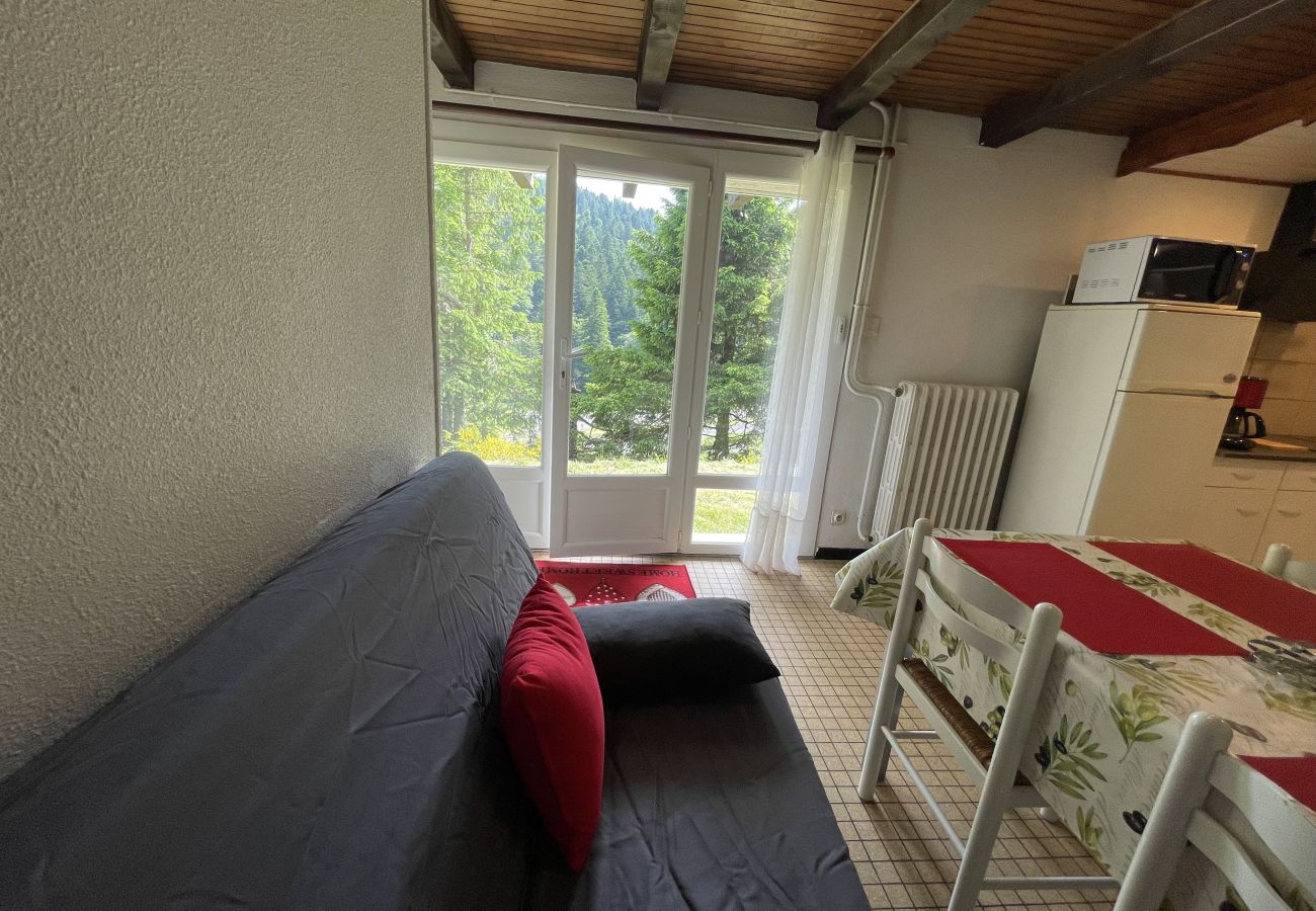 Apartamento en Le Lioran - T2  Vassivière à Font D'Alagnon