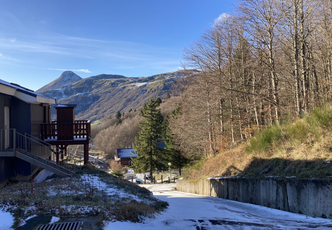 Apartamento en Saint-Jacques-des-Blats - Appartement avec cheminée à altitude 1500