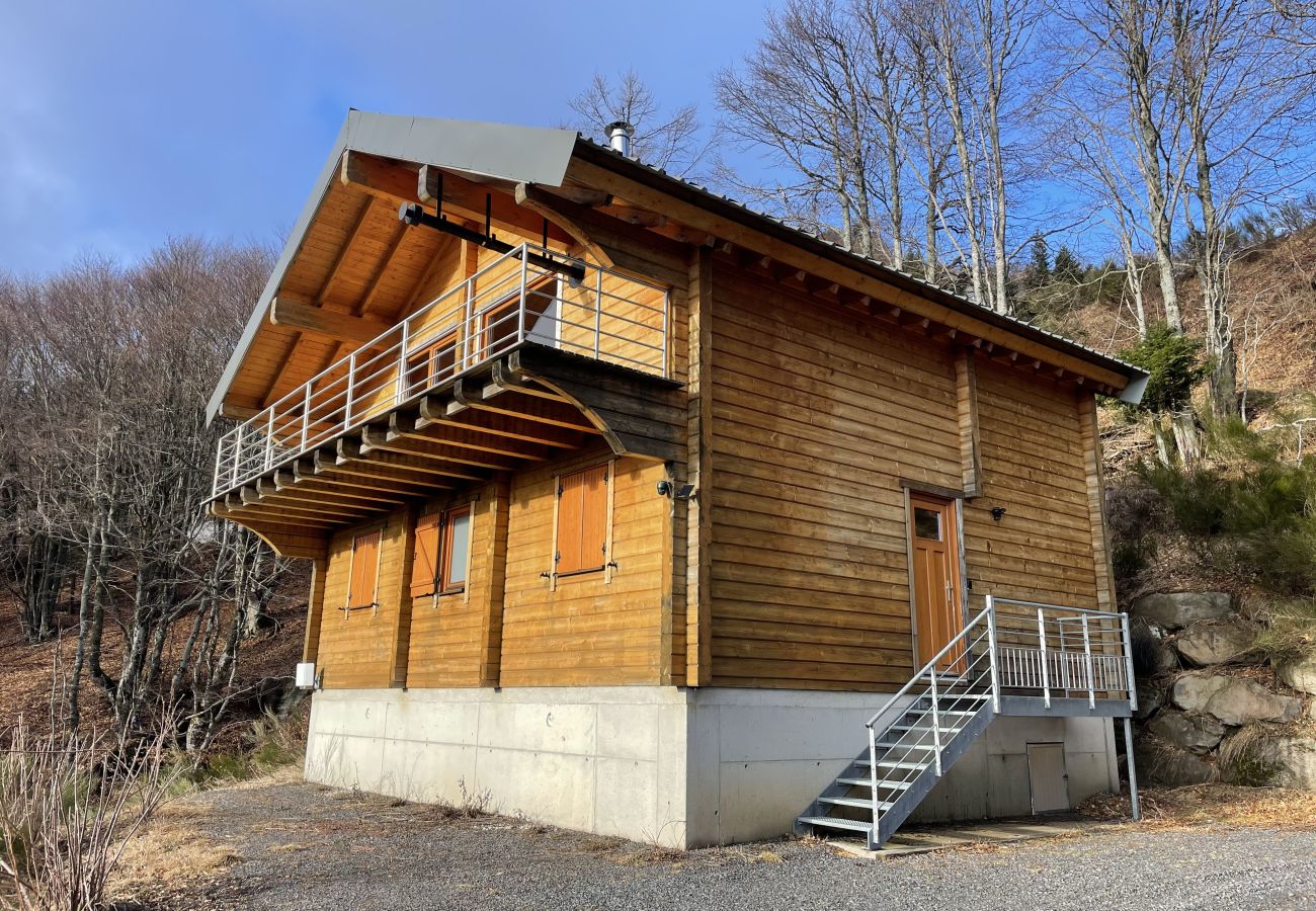 Chalet en Saint-Jacques-des-Blats - Chalet de gauche Font de cère