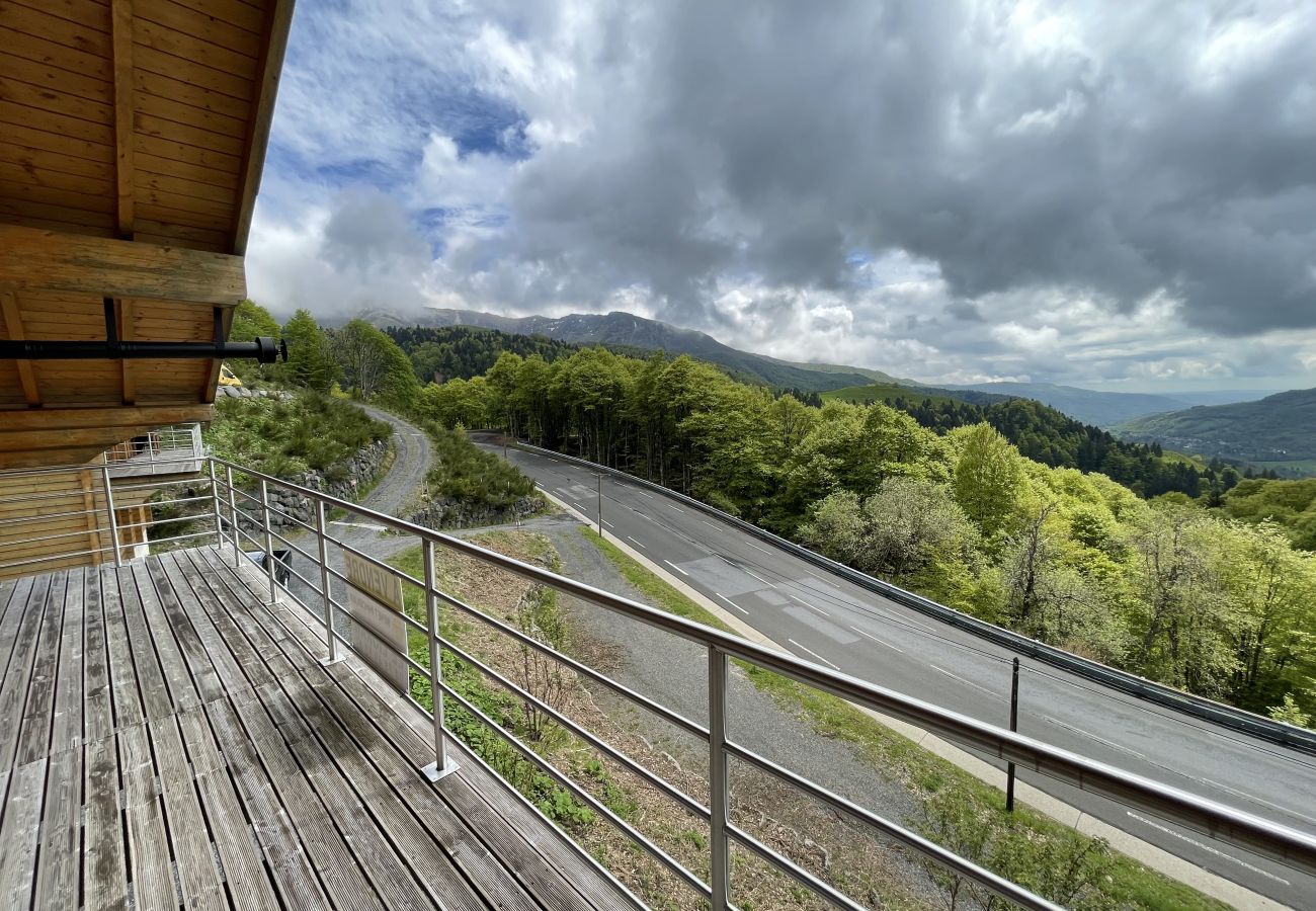 Chalet en Saint-Jacques-des-Blats - Chalet de gauche Font de cère