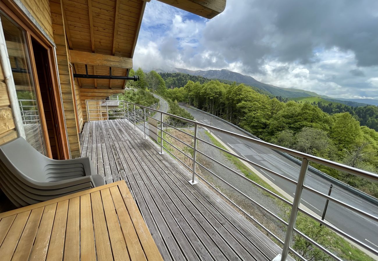 Chalet en Saint-Jacques-des-Blats - Chalet de gauche Font de cère