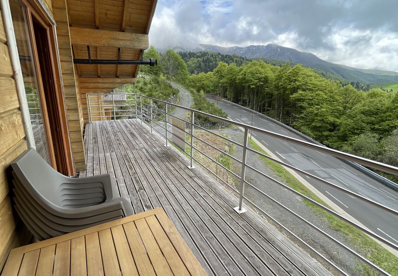 Chalet en Saint-Jacques-des-Blats - Chalet de gauche Font de cère