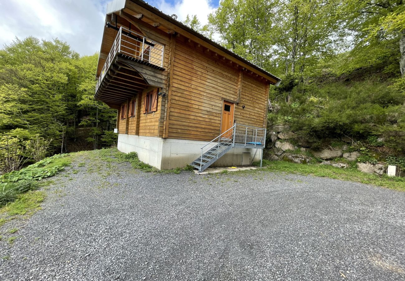 Chalet en Saint-Jacques-des-Blats - Chalet de gauche Font de cère