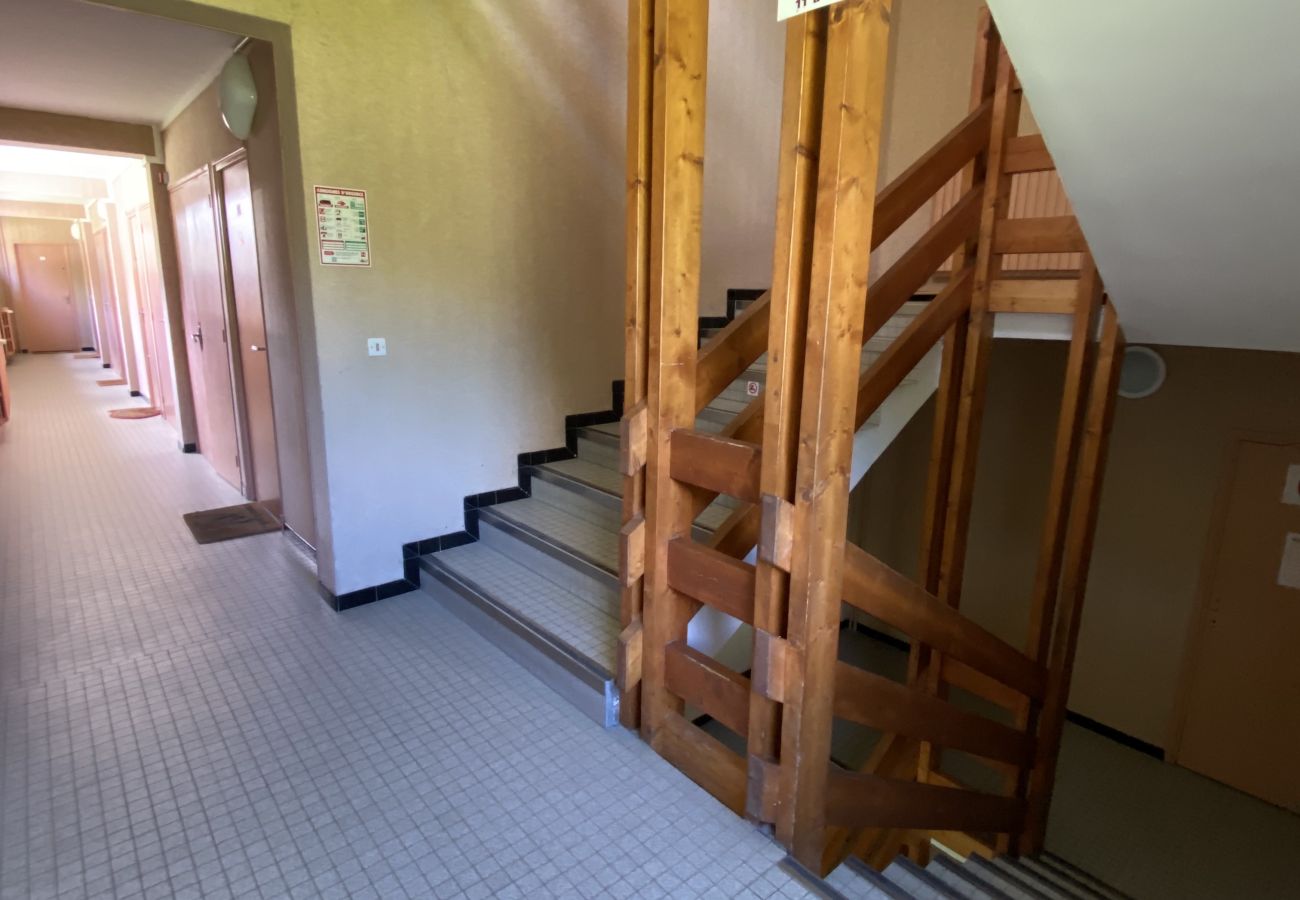 Apartamento en Le Lioran - Bel appartement 2 chambres entièrement refait