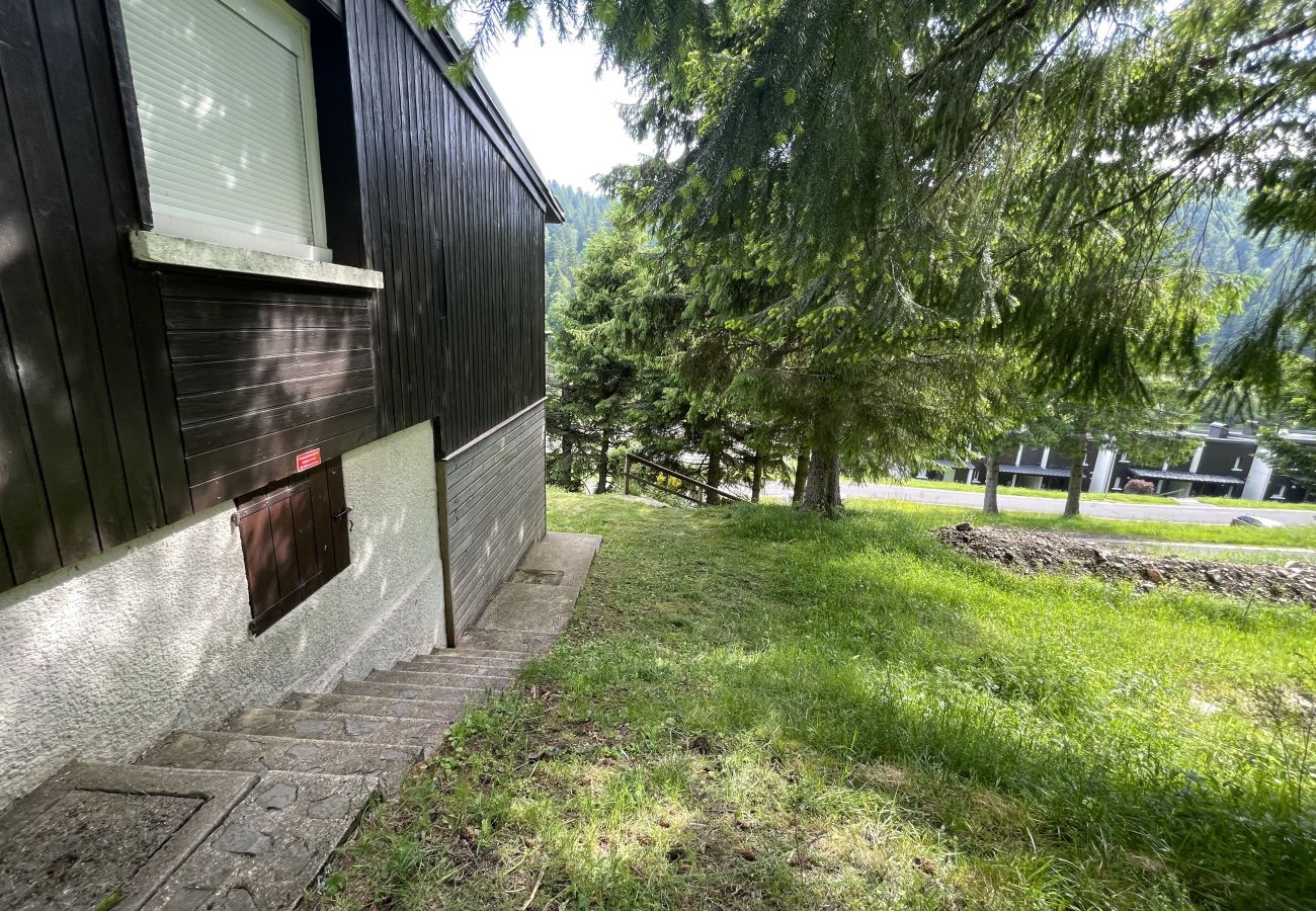 Appartement à Le Lioran - Chalet Vassivière  Font d'Alagnon