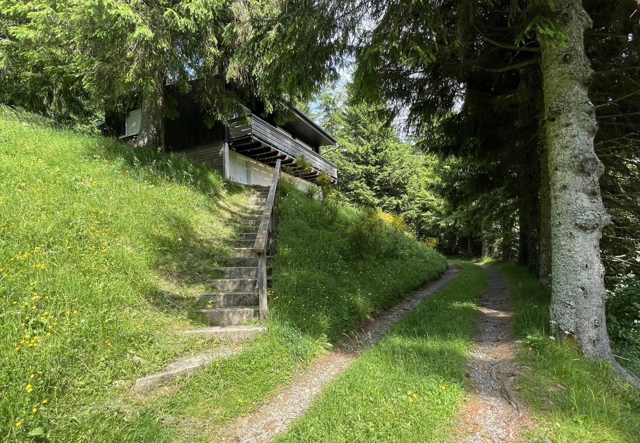 Appartement à Le Lioran - Chalet Vassivière  Font d'Alagnon