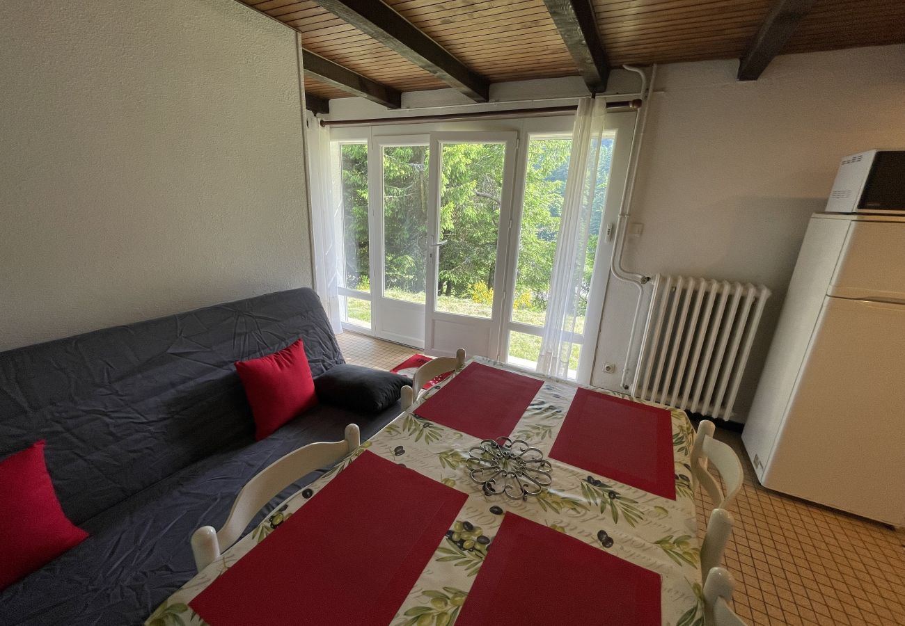 Appartement à Le Lioran - T2  Vassivière à Font D'Alagnon