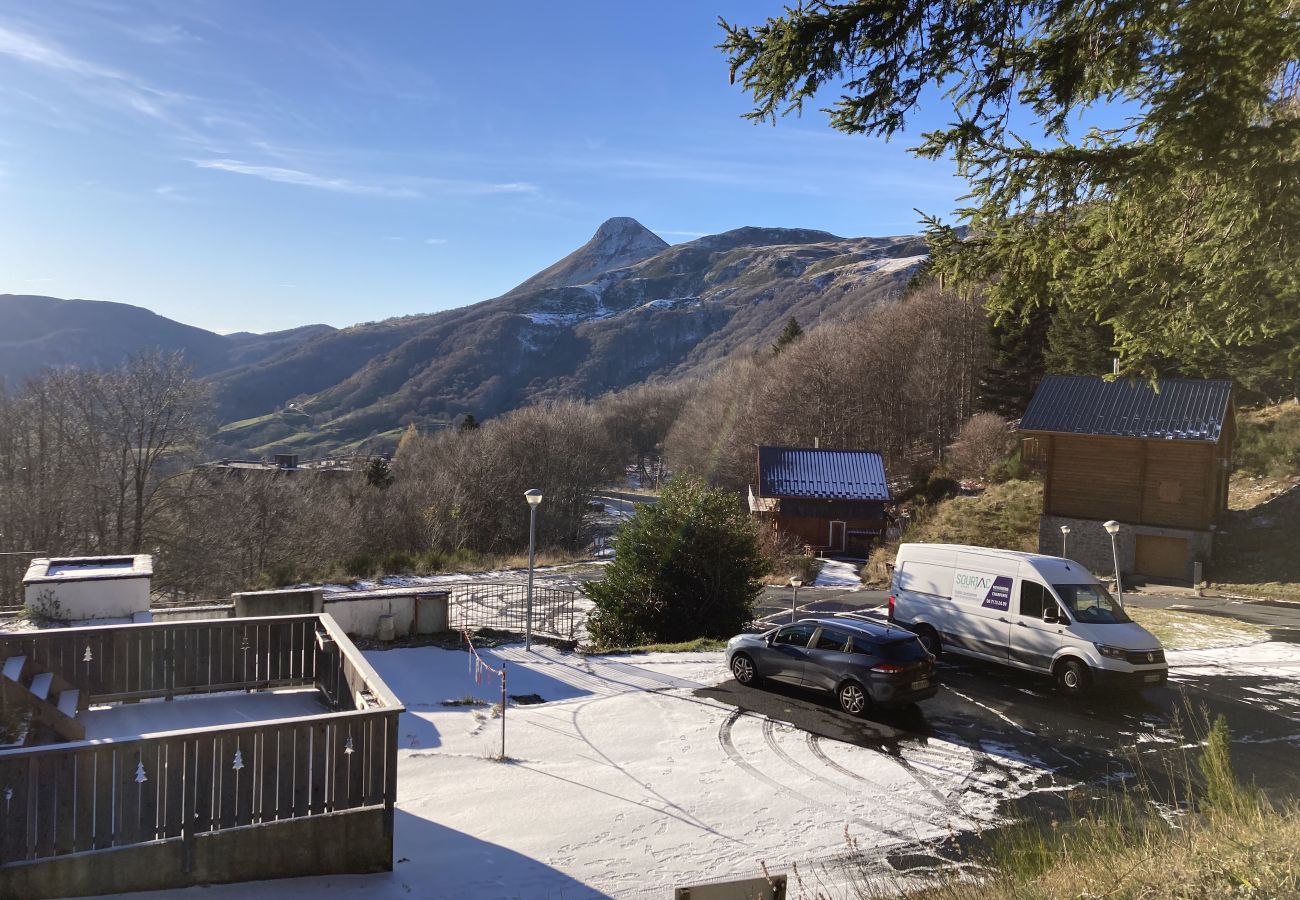 Appartement à Saint-Jacques-des-Blats - Appartement avec cheminée à altitude 1500