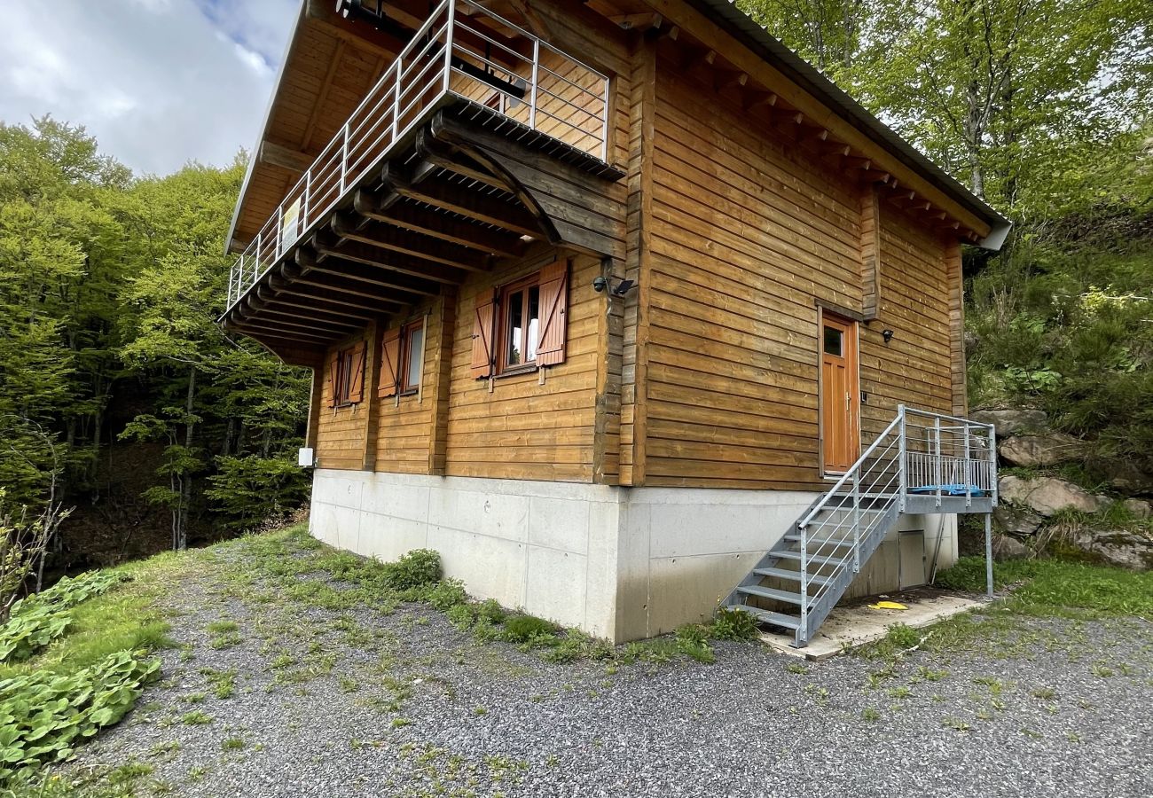 Chalet à Saint-Jacques-des-Blats - Chalet de gauche Font de cère