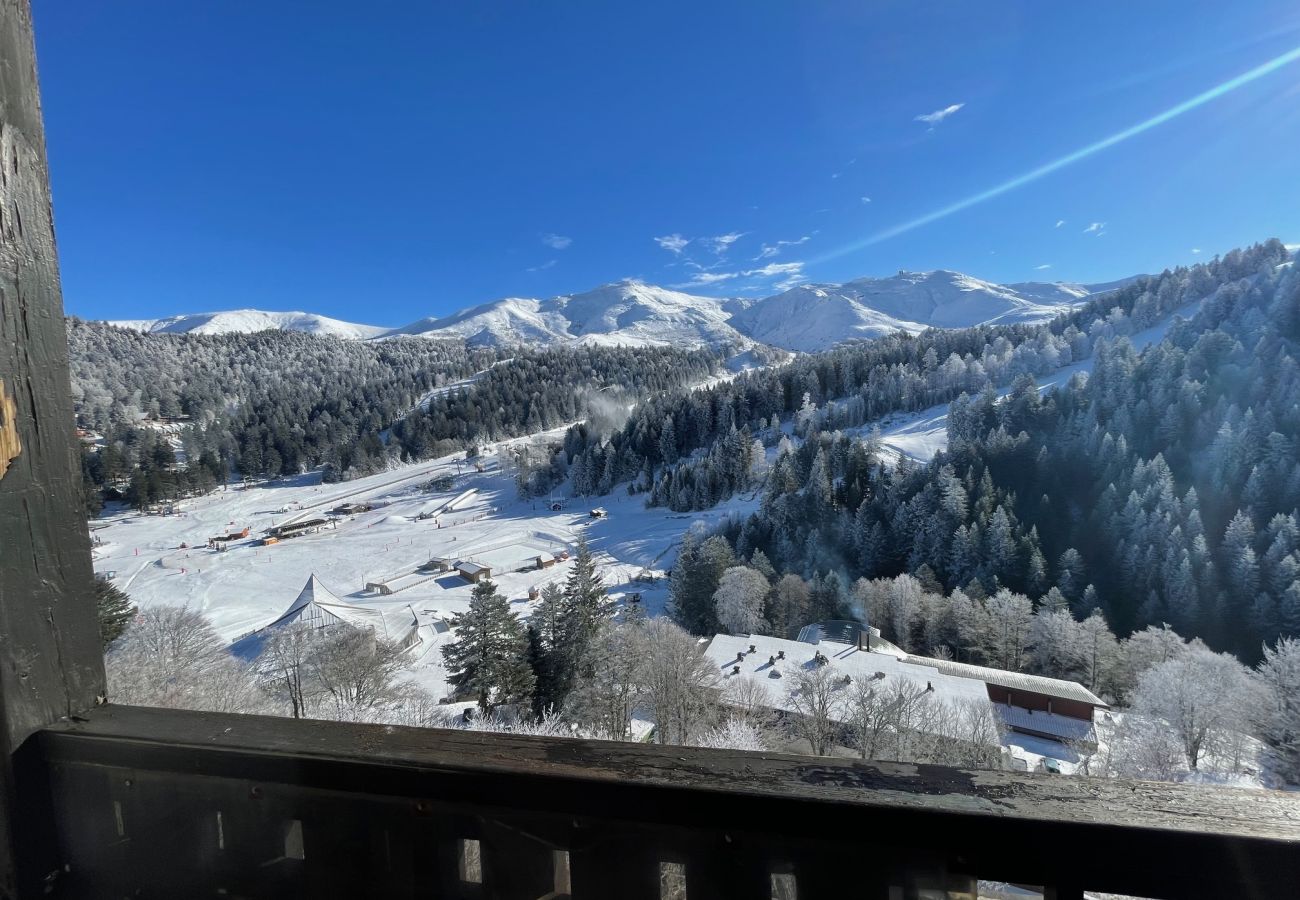 Appartement à Le Lioran - Superbe T2 surplombant la station aux cristallines